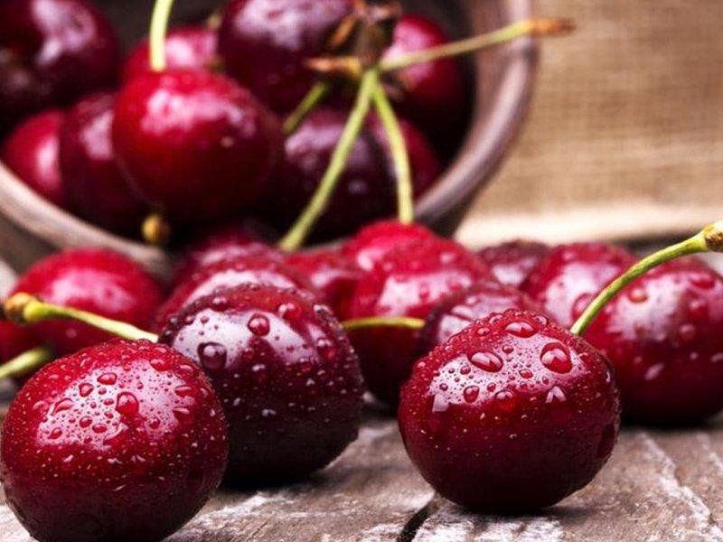 Вишня купить саженцы из питомника в Тихвине
